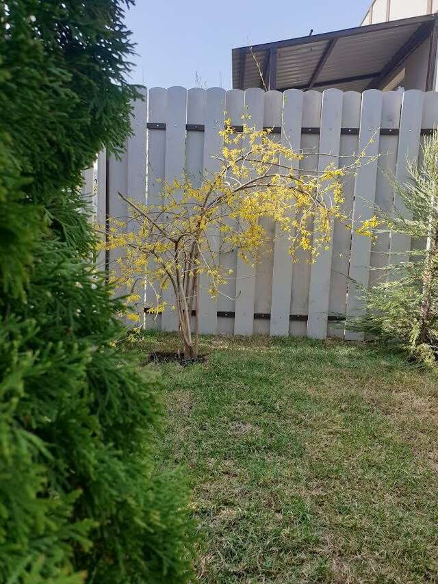 Апартаменты Zvezda Village Саратов-18